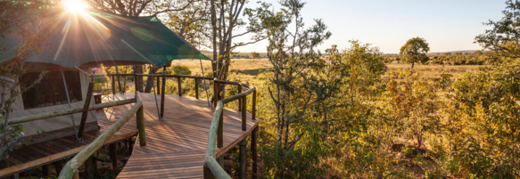 Machaba Zimbabwe Deteema Camp Gallery 21