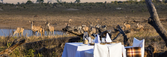 Machaba Gallery Experience Verneys Dining Pool Deck