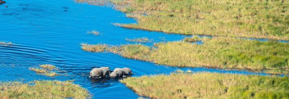 Machaba Destination Botswana Okavango Delta Gallery 11