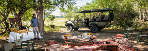 Machaba Safaris Web Botswana Machaba Camp Gallery Experiences Picnic