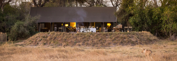 Machaba Botswana Little Machaba Gallery 02