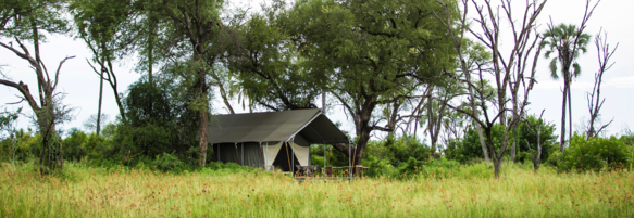 Machaba Botswana Gomoti Plains Gallery 20