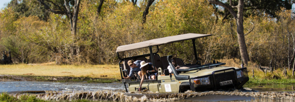 Machaba Safaris Experience Safari Highlights 19
