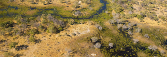 Machaba Destination Botswana Okavango Delta Gallery 10