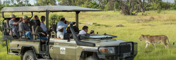 Machaba Safaris Experience Safari Game Drive 04