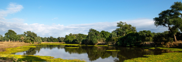 Machaba Zimbabwe Mana River Camp Gallery 06