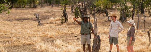 Machaba Zimbabwe Ingwe Camp Gallery 05