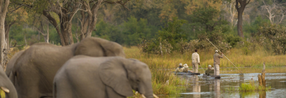 Machaba Safaris Experience Safari Mokoro Boat 15