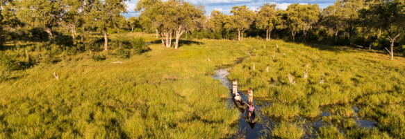Machaba Safaris Web Experience Mokoro Weaving Through Waterways