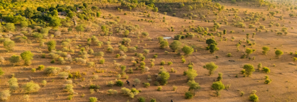 Machaba Safaris Web Destinations Overview Chobe Plains