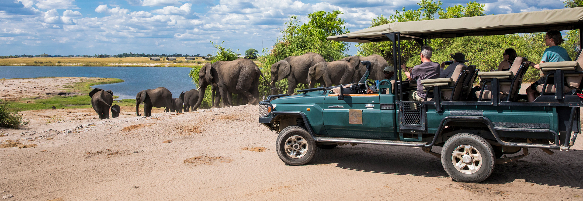 Machaba Safaris Web Ngoma Lodge Activities Safari Game Drive