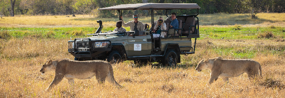 Machaba Safaris Experience Safari Game Drive 11