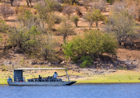 Machaba Safaris Web Destinations Chobe Game Viewing From Boat