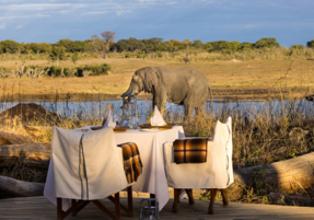 Machaba Gallery Camps Verneys Pool Deck Dining Wildlife Viewing