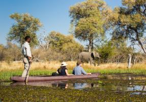 Machaba Safaris Experience Safari Highlights 11
