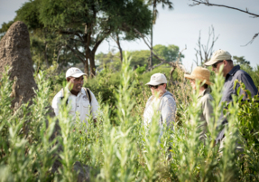 Machaba Botswana Gomoti Pvt Gallery 11