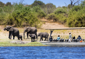 Machaba Safaris Web Destinations Chobe Water Rich Experiences