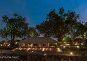 Machaba Zimbabwe Deteema Camp Gallery 16