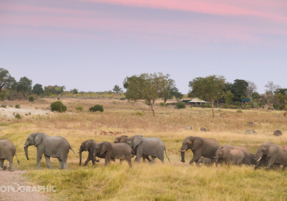 Machaba Zimbabwe Deteema Camp Gallery 15