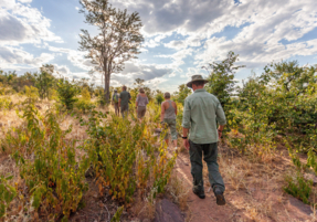 Machaba Safaris Experience Walking Safari 08