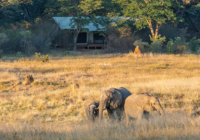 Machaba Safaris Camp Highlights 01