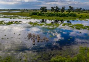 Machaba Destination Botswana Okavango Delta Gallery 05