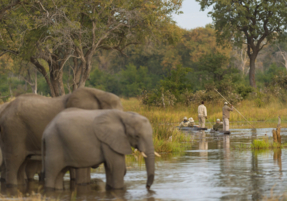 Machaba Safaris Experience Safari Highlights 23