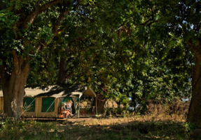 Machaba Zimbabwe Mana River Camp Gallery 23