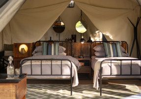 Machaba Safaris Web Botswana Machaba Camp Room Gallery Double Tent