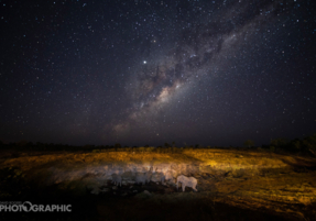 Machaba Zimbabwe Deteema Camp Gallery 17