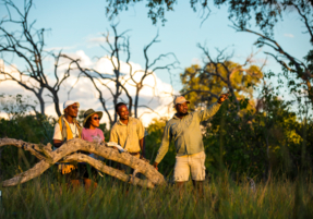 Machaba Safaris Web Experience Walking Safari Guide Pointing