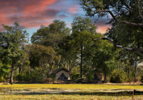 Machaba Zimbabwe Ingwe Camp Gallery 17