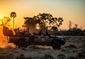 Machaba Safaris Experience Night Safari 04