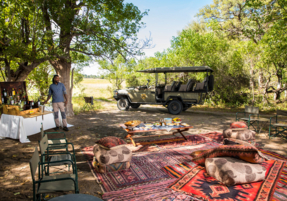 Machaba Botswana Okavango Delta Little Machaba Gallery Experiences Picnic
