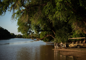 Machaba Zimbabwe Ingwe Camp Gallery 13