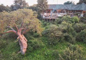 Machaba Safaris Camp Highlights 26