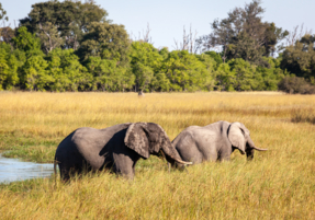 Machaba Machaba Accommodation Lodge Mvr 012