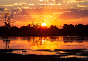 Machaba Safaris Experience Night Safari 03