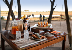 Machaba Gallery Camps Verneys High Tea