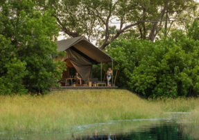 Machaba Botswana Gomoti Plains Gallery 19