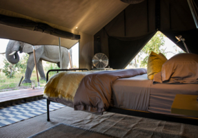 Machaba Safaris Web Botswana Gomoti Camp Wildife Visit Tent