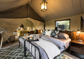 Machaba Safaris Web Botswana Machaba Camp Room Gallery Family Tent