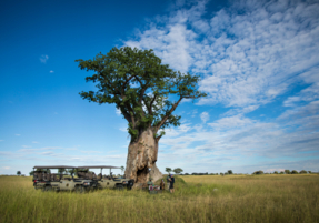 Machaba Safaris Web Kiri Camp Gallery Activities Safari Stop