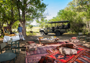 Machaba Safaris Web Botswana Machaba Camp Gallery Experiences Picnic