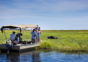 Machaba Safaris Web Botswana Ngoma Lodge Experience Boating