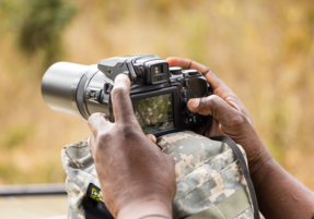 Machaba Gallery Birding Safari Photography