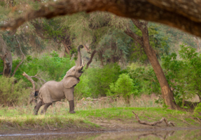 Machaba Safaris Destination Highlights 13