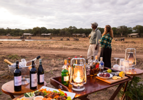 Machaba Gallery Experience Verneys Dining Sundowners
