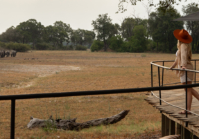 Machaba Safaris Web Kiri Camp Gallery Activities Viewing Game From Deck