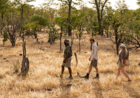 Machaba Safaris Experience Safari Highlights 14